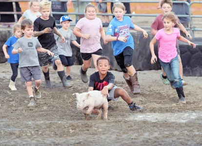 ‘Everybody likes a good show': Barnyard contests take center stage at Williamsburg Community Farm Show